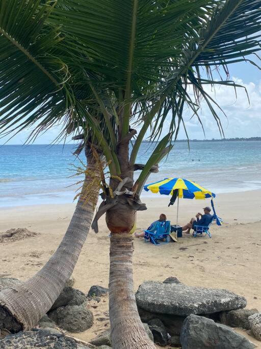 Dalia Lovers By Sea Rentals San Juan Bagian luar foto